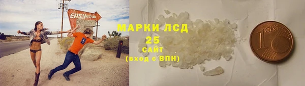 твердый Аркадак