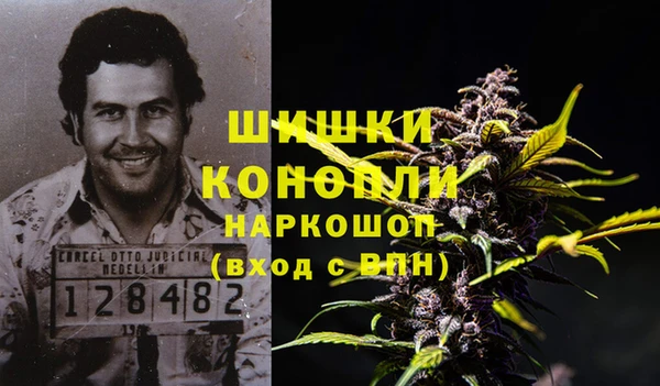 шишки Балабаново